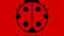 Ladybug RJ,gruposdozap.net