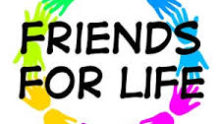 grupo de amizades, gruposdozap.net
