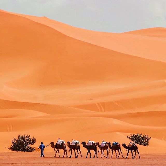 Viagem a Marrocos 🇲🇦